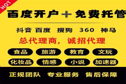行业领先企业的SEM优化之路